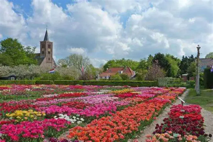 Bloemen kijken limmen hortus bulborum 1722868215