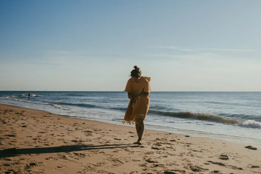 Strand zee vissen schelpen zoeken