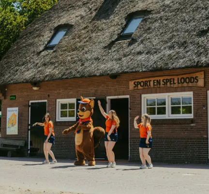 Sport en Spelloods dansen